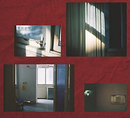 白潔 攝影 碩士預(yù)科